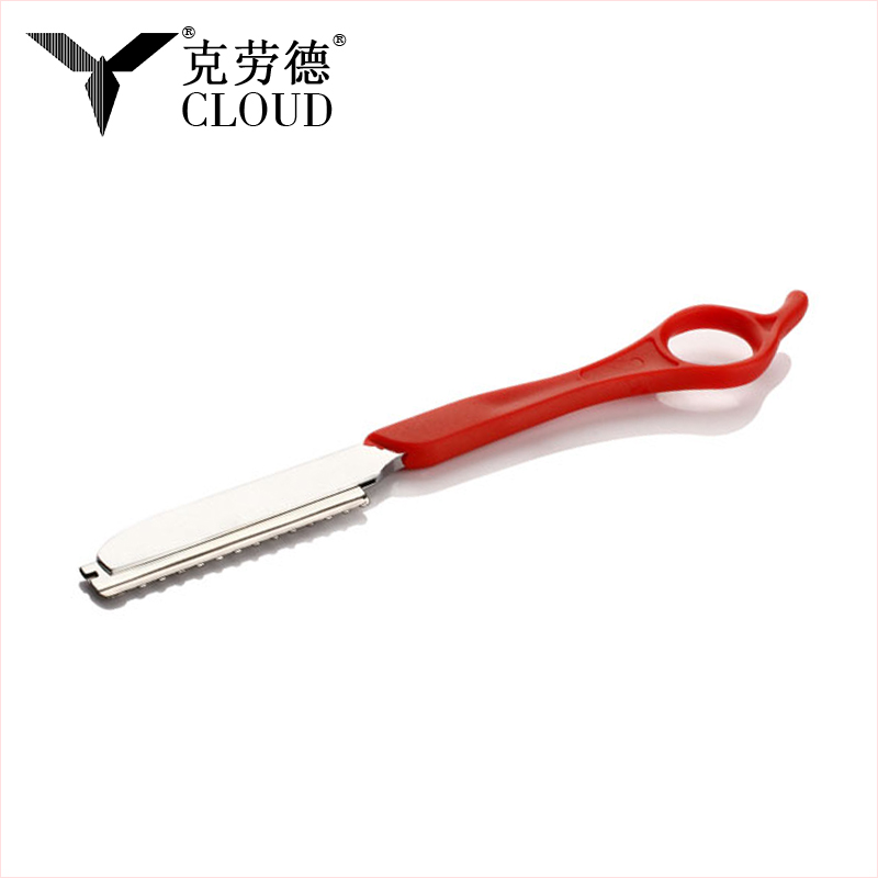 Rakhyvel för håravskärning Rostfritt stål Rakhyvel (plasthandtag)